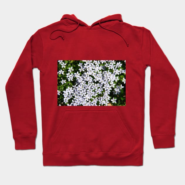 Tiny White Flowers Hoodie by Aday